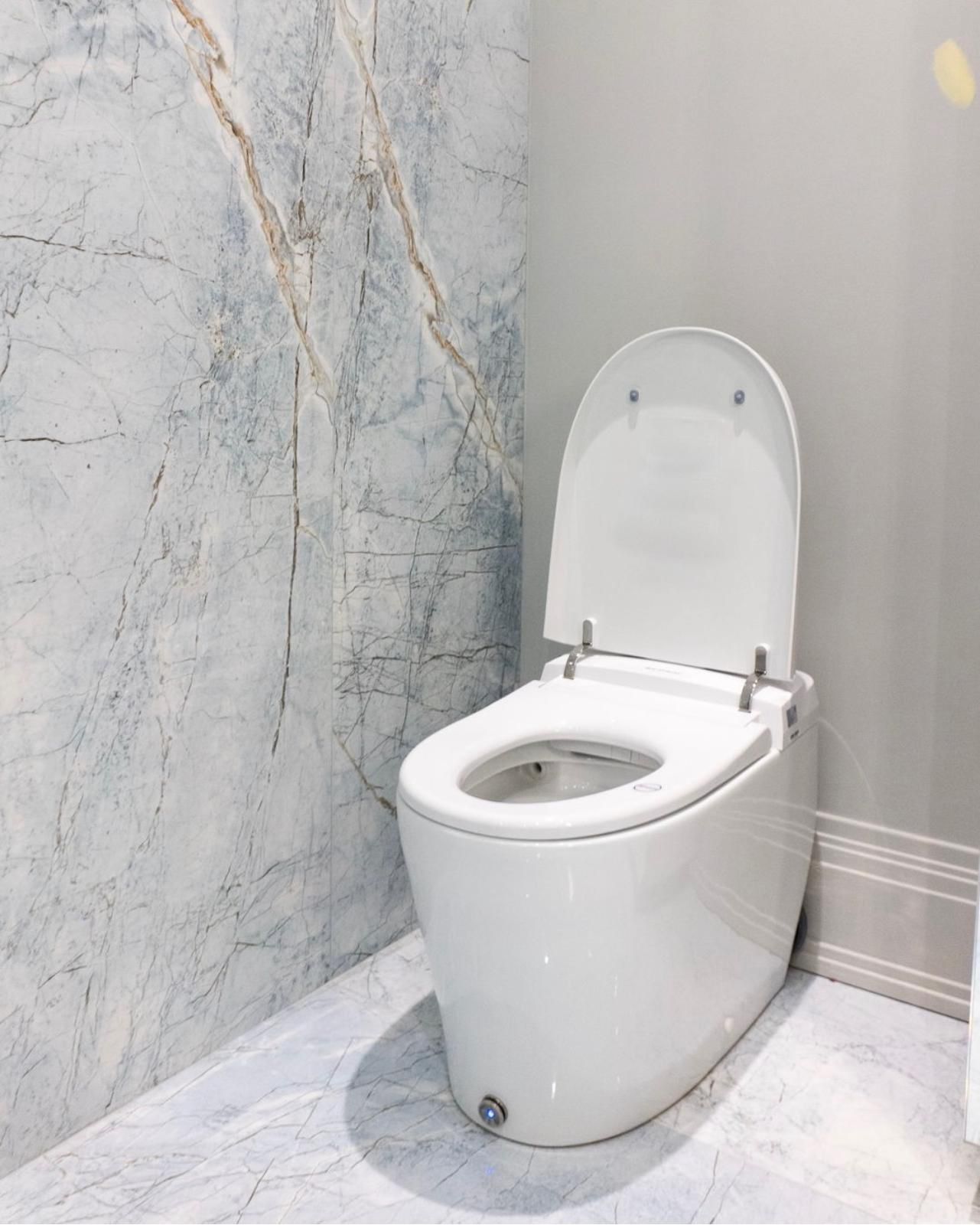 Smart Toilet Bathroom